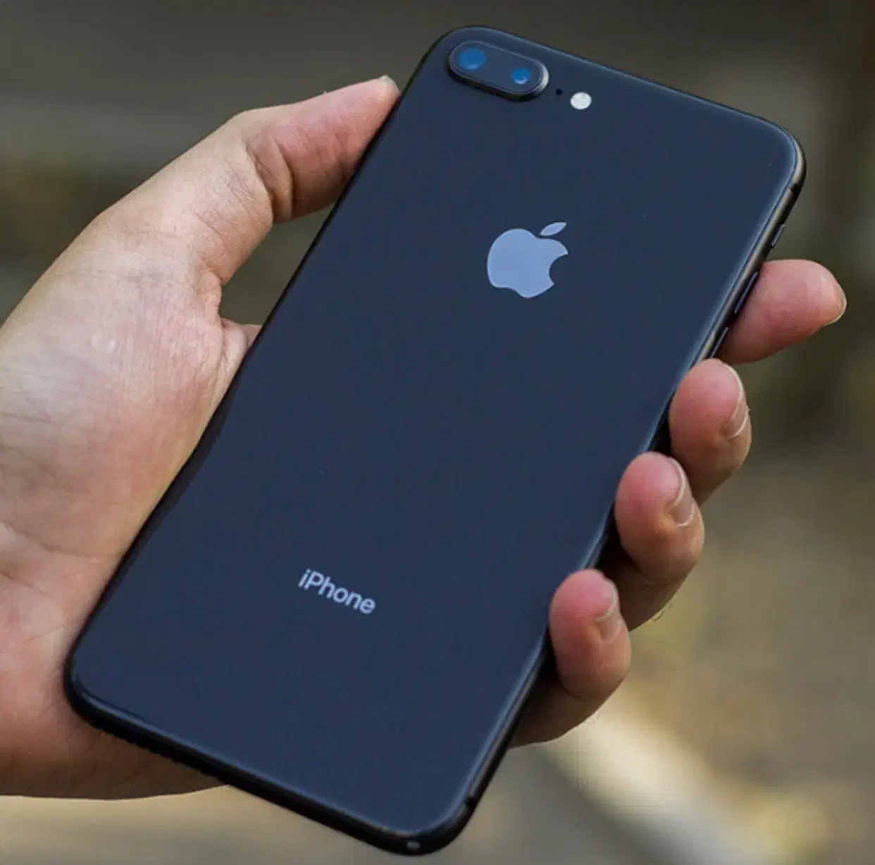iPhone 8 Plus حافظه|موبایل|بوشهر, |دیوار