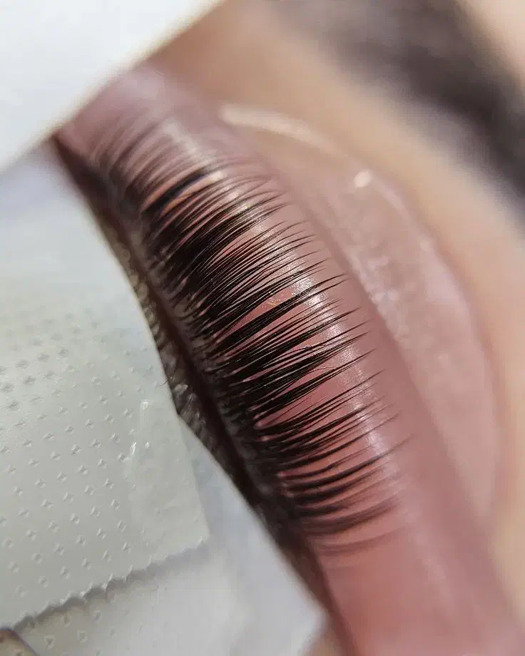 اکستنشن و لیفت مژه تخصصی|خدمات آرایشگری و زیبایی|تهران, امام زاده عبدالله|دیوار