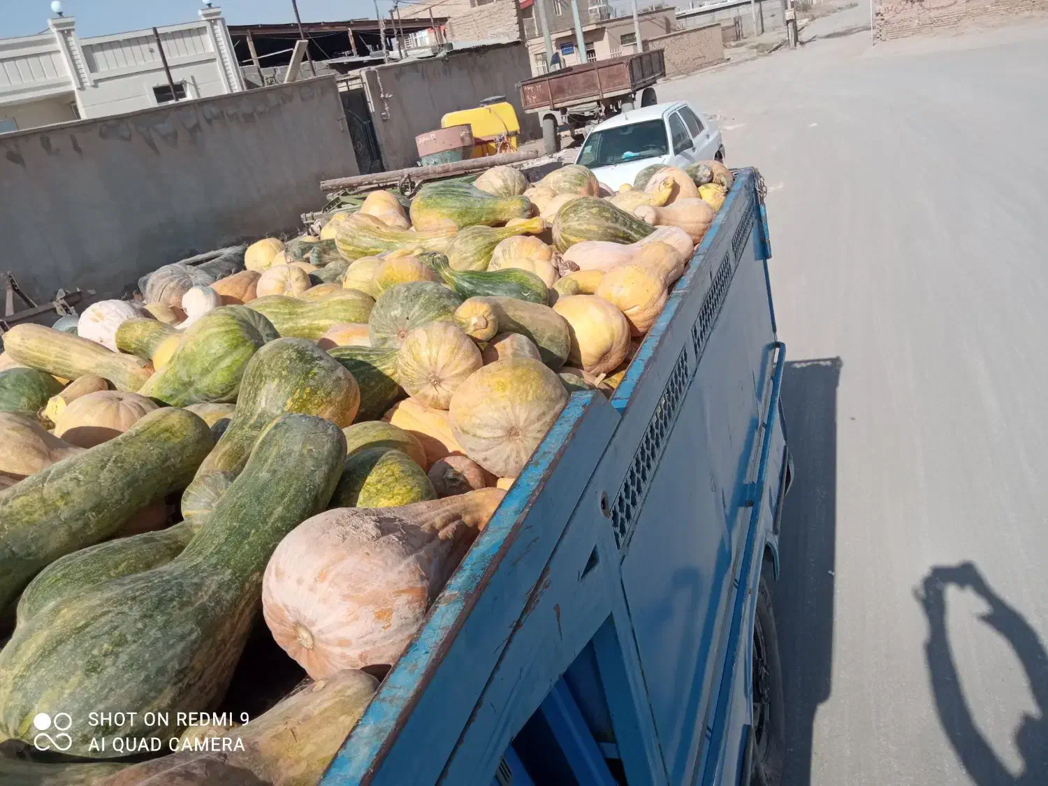 بخرید که ارزانه واسه گوسفند فقط6|عمده‌فروشی|مشهد, کارده|دیوار