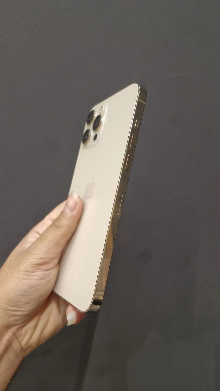 12promax/12pro|موبایل|مشهد, بهشت|دیوار