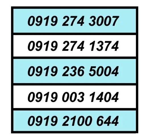 0919.23.26.206|سیمکارت|تهران, اکباتان|دیوار