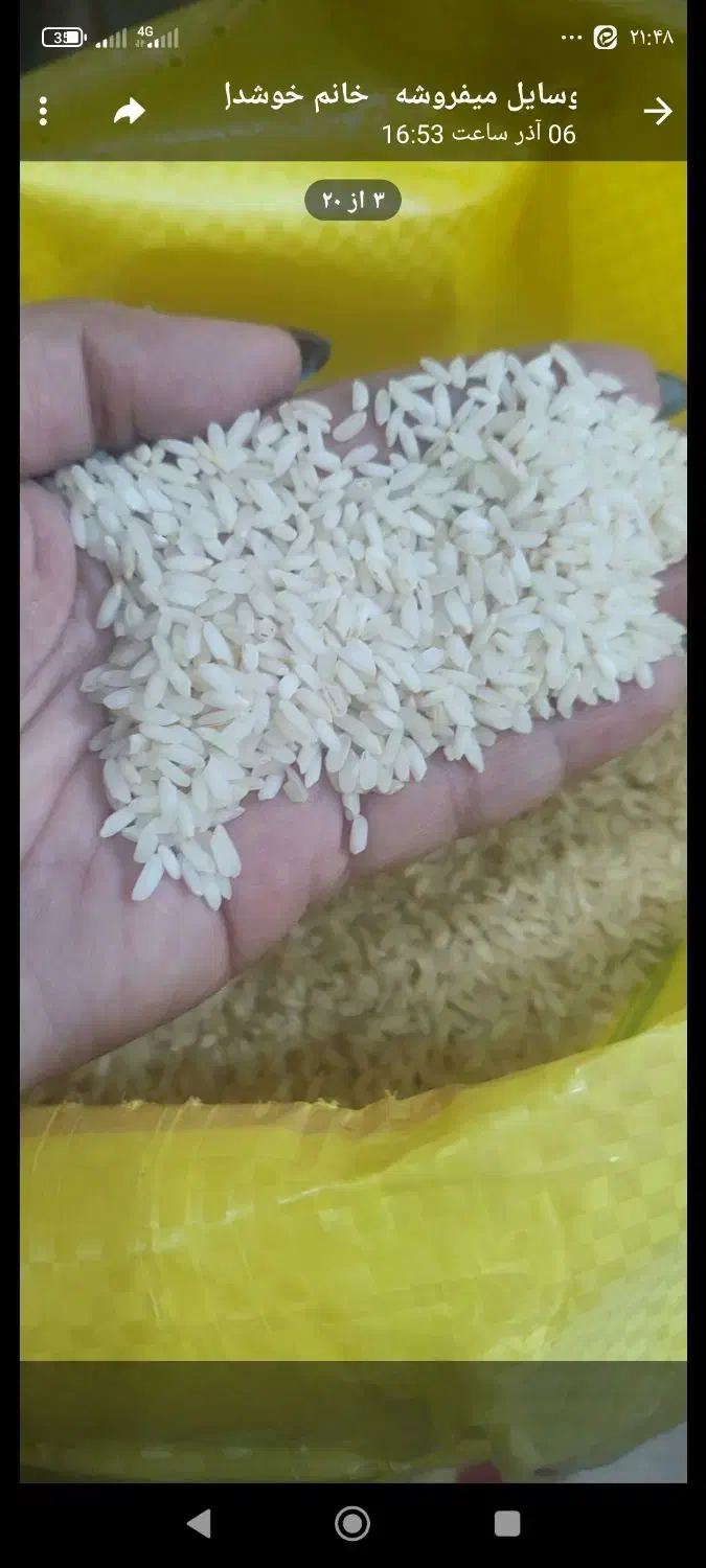 برنج عنبربودرجه عطری طارم استخونی سیدوهاشمی|خوردنی و آشامیدنی|رباطکریم, رباطکریم|دیوار