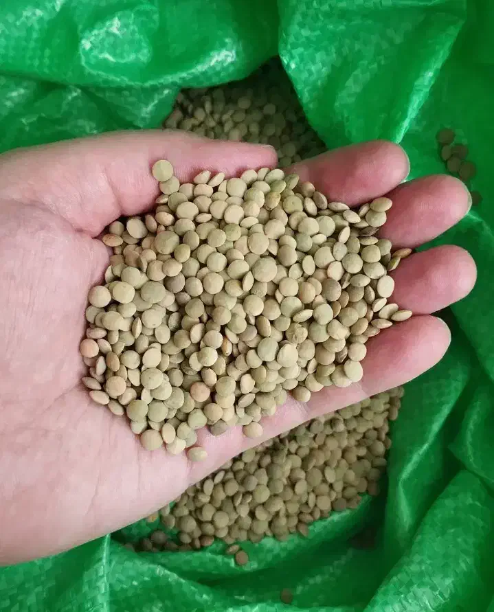 عدس ، عسل، گردو|خوردنی و آشامیدنی|رشت, کوی غلام نیا|دیوار