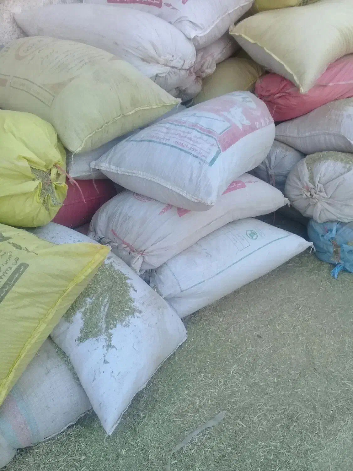 کاه خار|لوازم جانبی حیوانات|میان جلگه, |دیوار