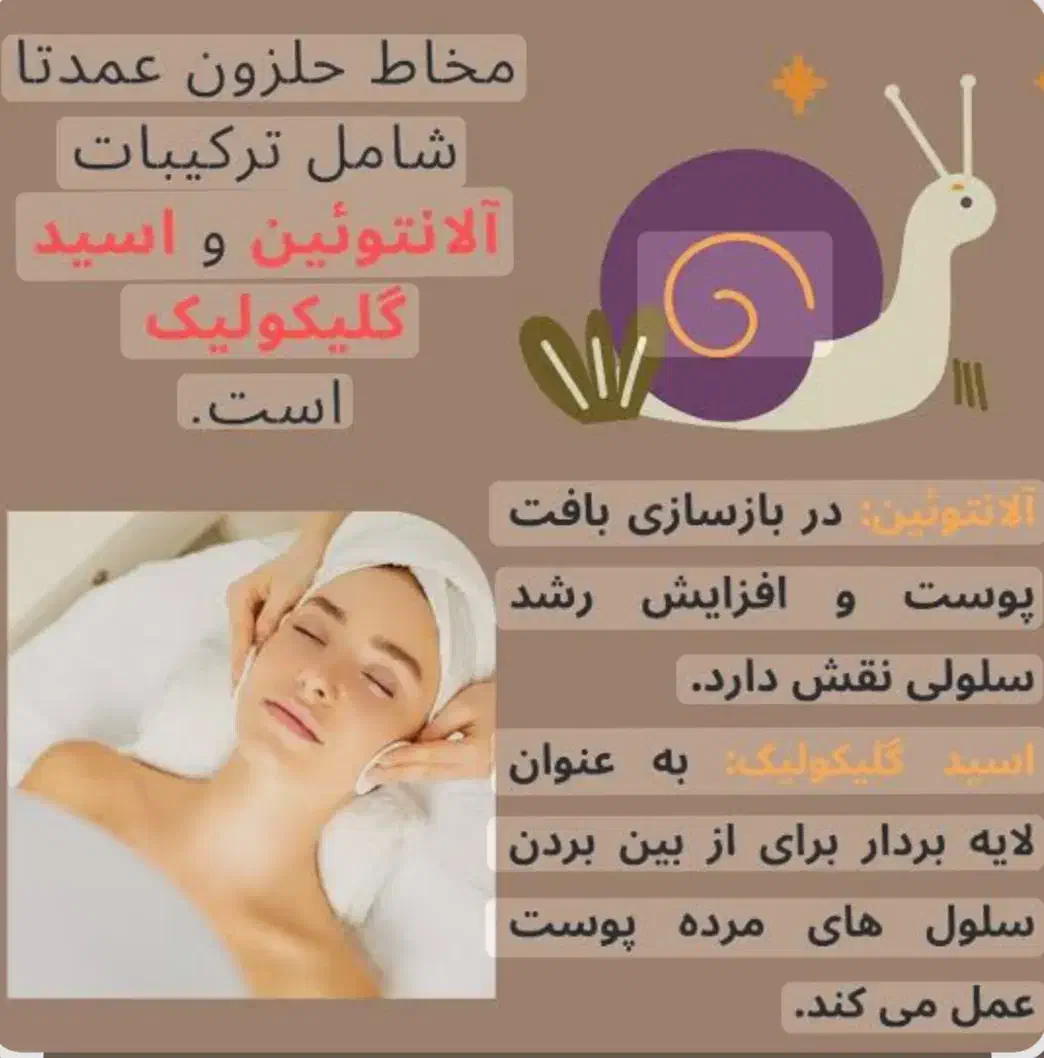 حلزون تراپی|خزنده|مشهد, جاهد شهر|دیوار