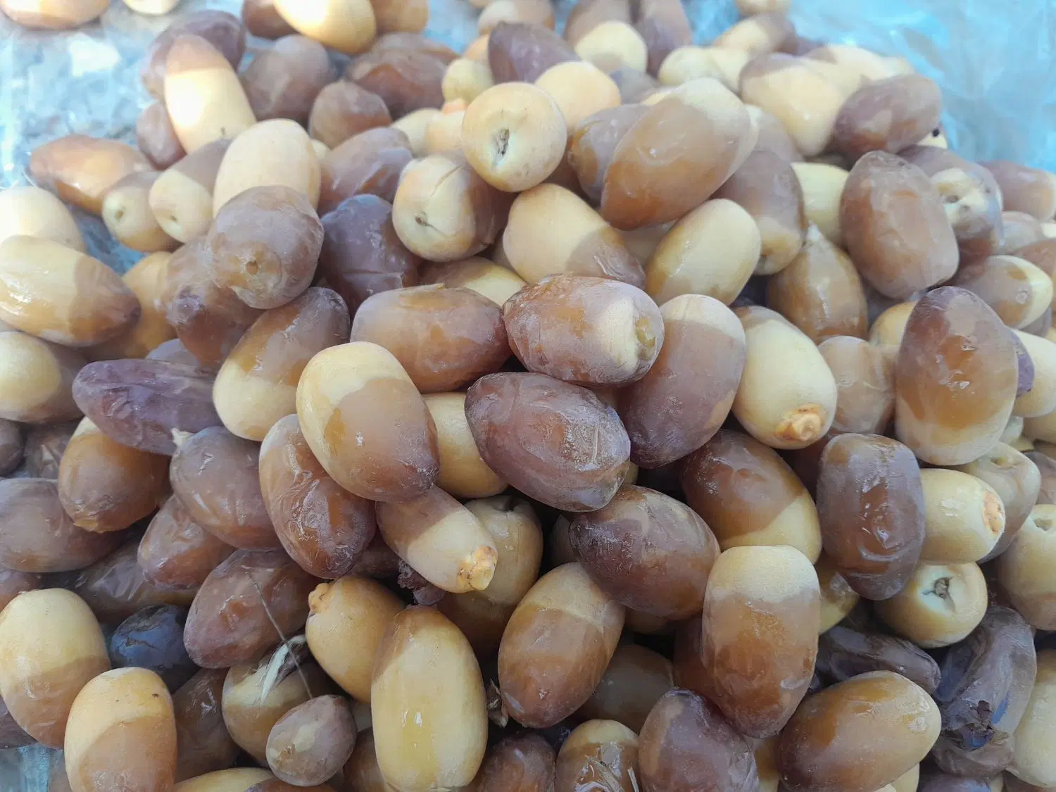 رطب|خوردنی و آشامیدنی|بوشهر, |دیوار