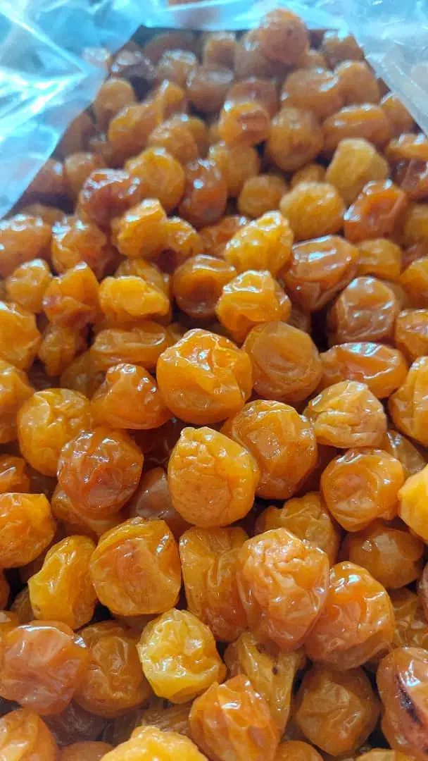 الوبخارا زرد طلایی بوانات|خوردنی و آشامیدنی|شیراز, ریاستی|دیوار