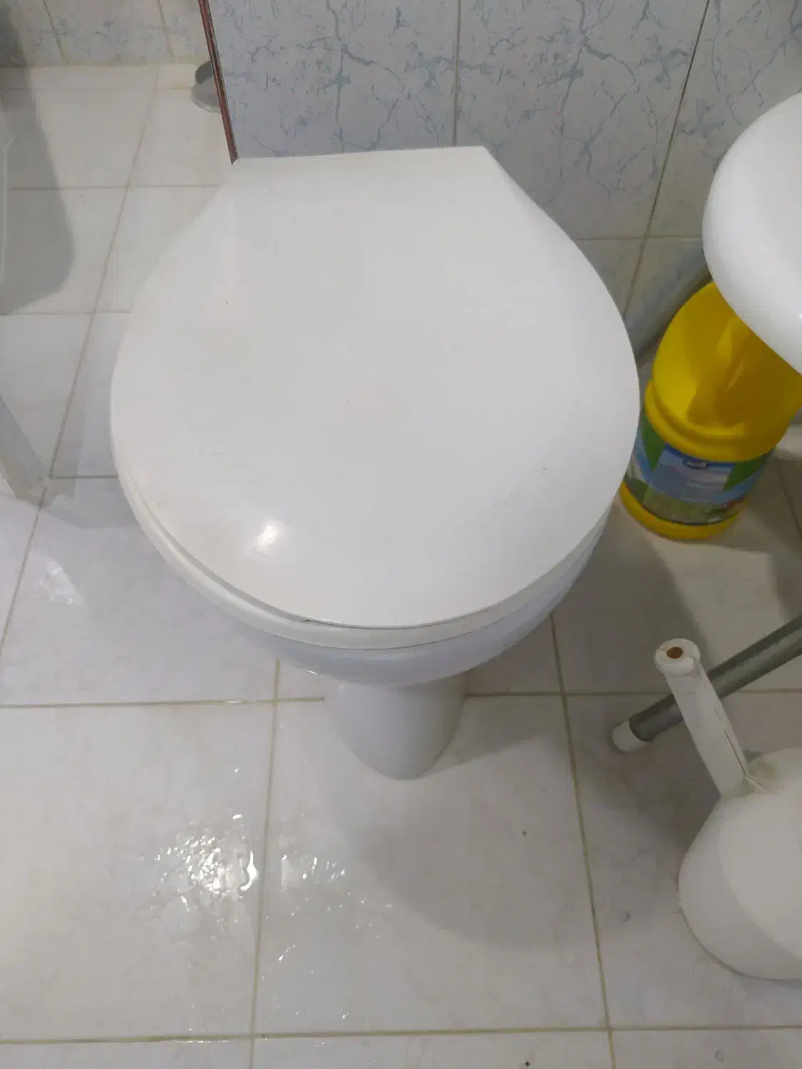 توالت فرنگی|لوازم سرویس بهداشتی|تبریز, |دیوار