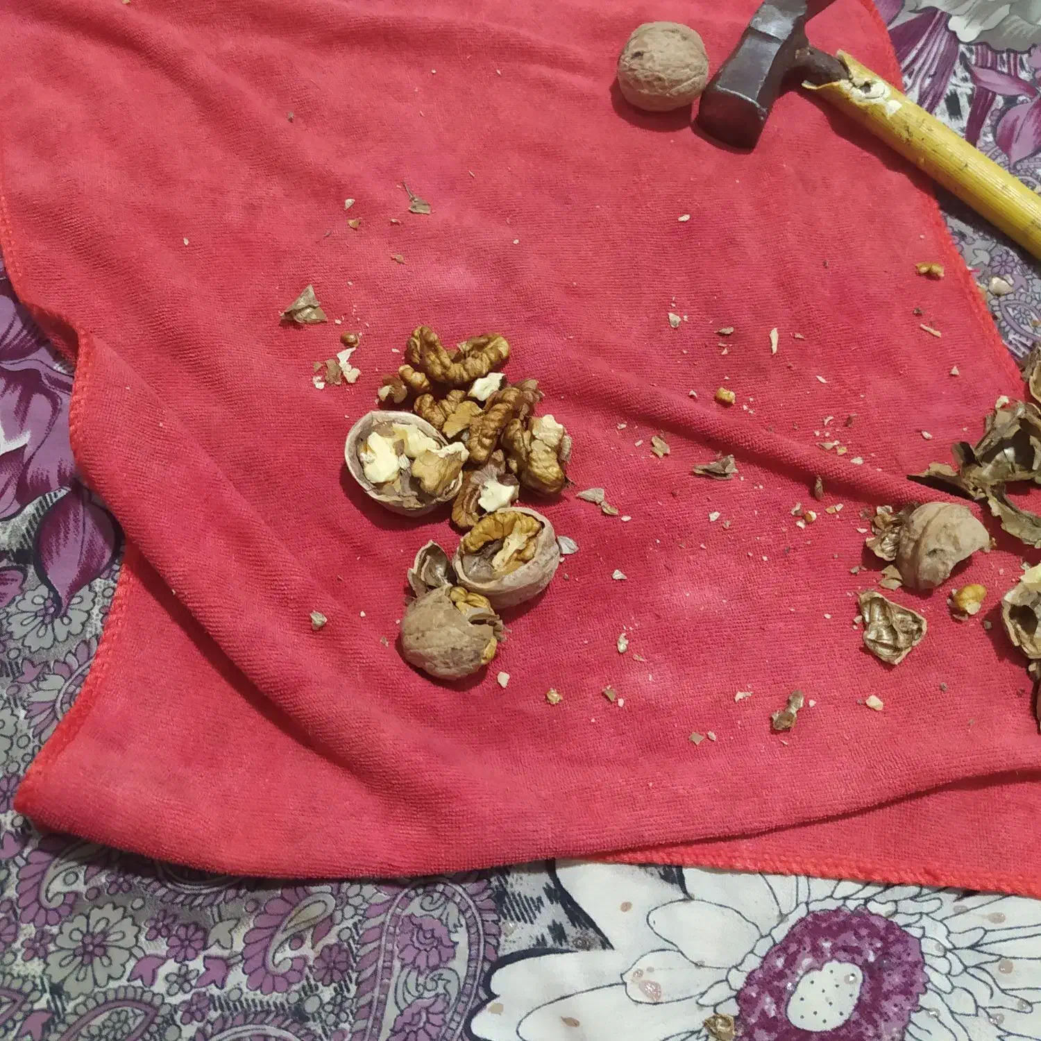 گردو|خوردنی و آشامیدنی|ملکان, |دیوار