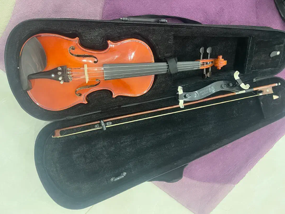 ویالون|ویولن|قزوین, |دیوار