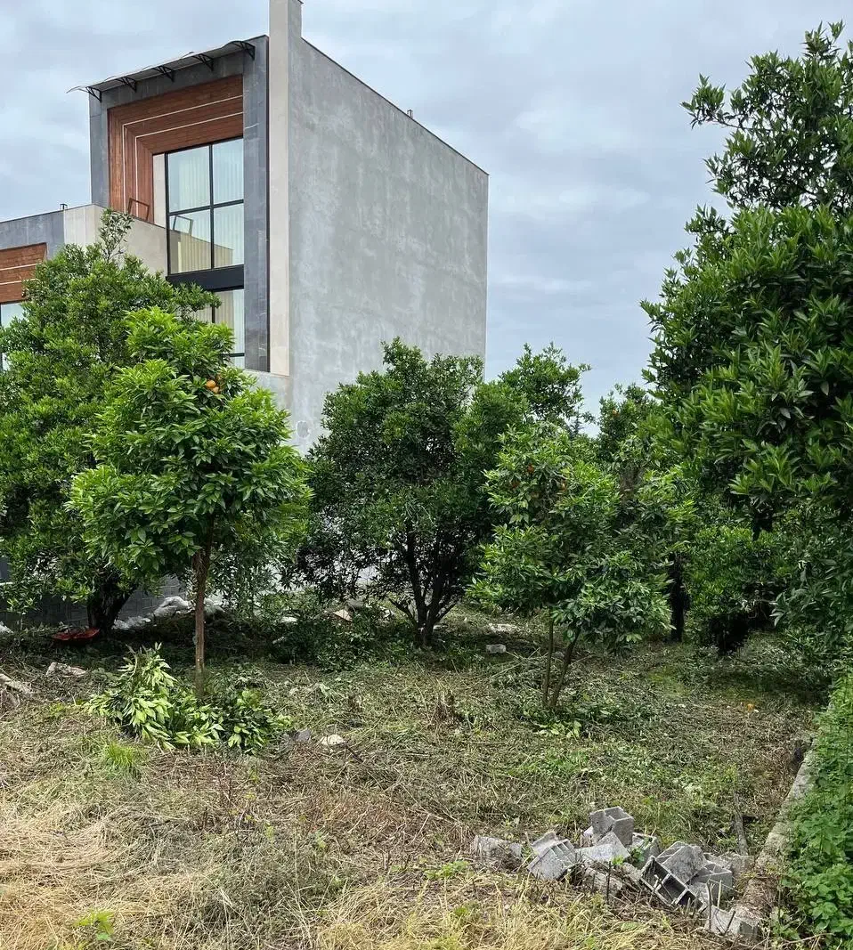 زمین سنددار زیر قیمت/ دهکده توریستی درسعادت آباد|فروش زمین و ملک کلنگی|چمستان, |دیوار