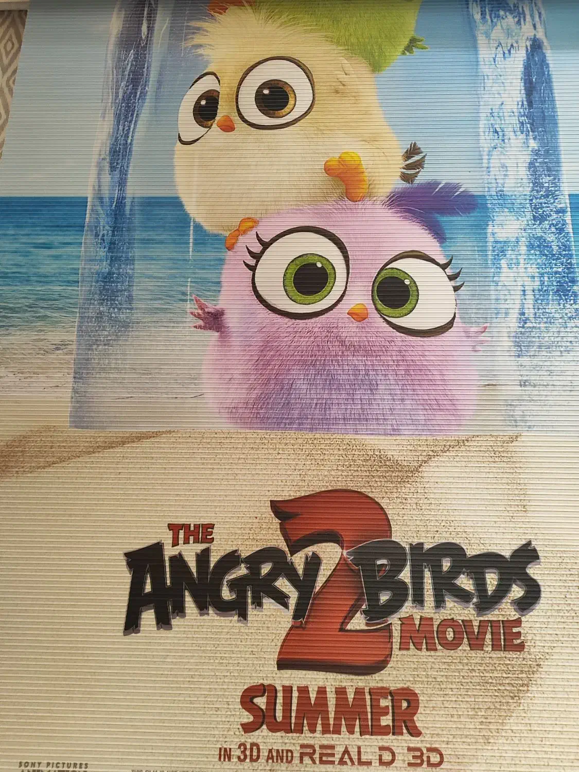 چند عددپرده زبرا|پرده، رانر، رومیزی|شازند, |دیوار