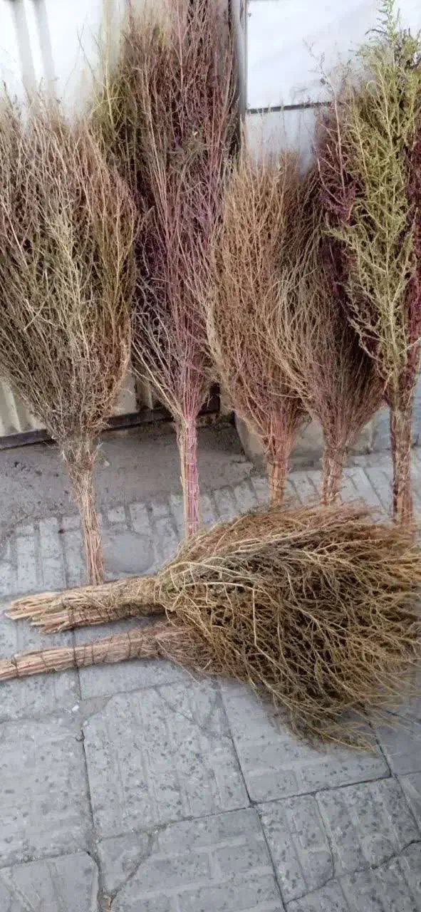 جارو محلی|لوازم نظافت|ملایر, |دیوار