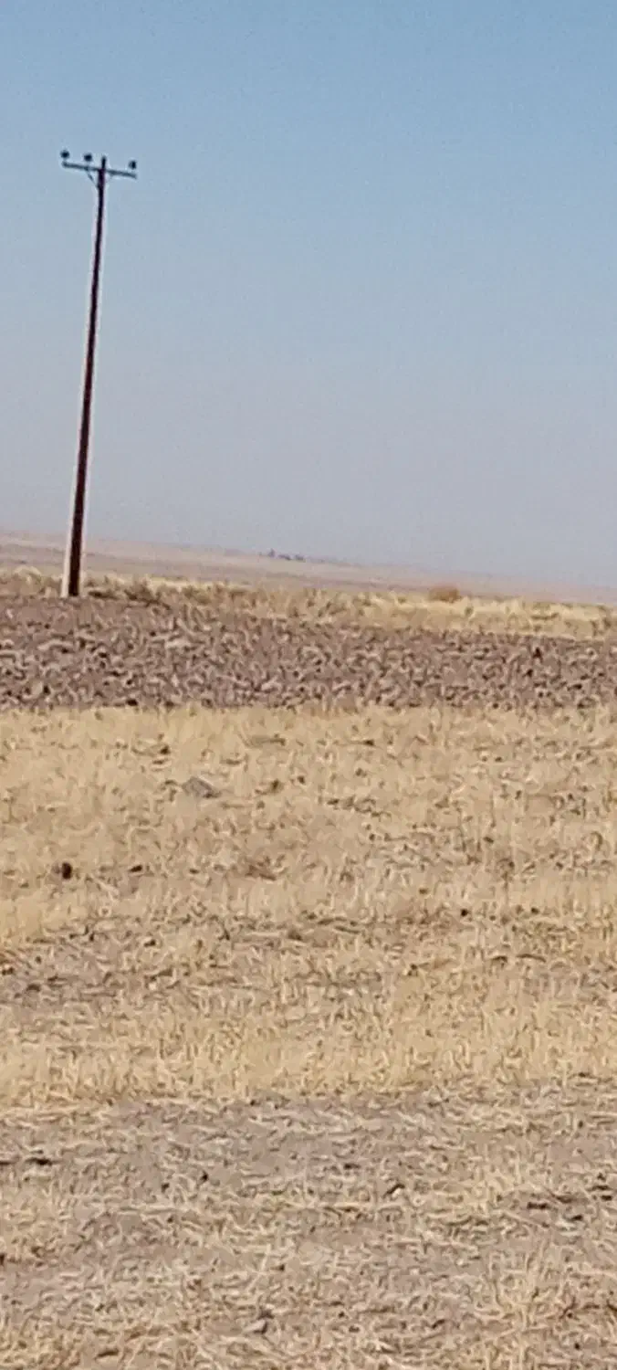 باغ تازه ساخت2کله4300مترلب جاده معاوضه|فروش دفتر صنعتی، کشاورزی، تجاری|قره پشتلو, |دیوار