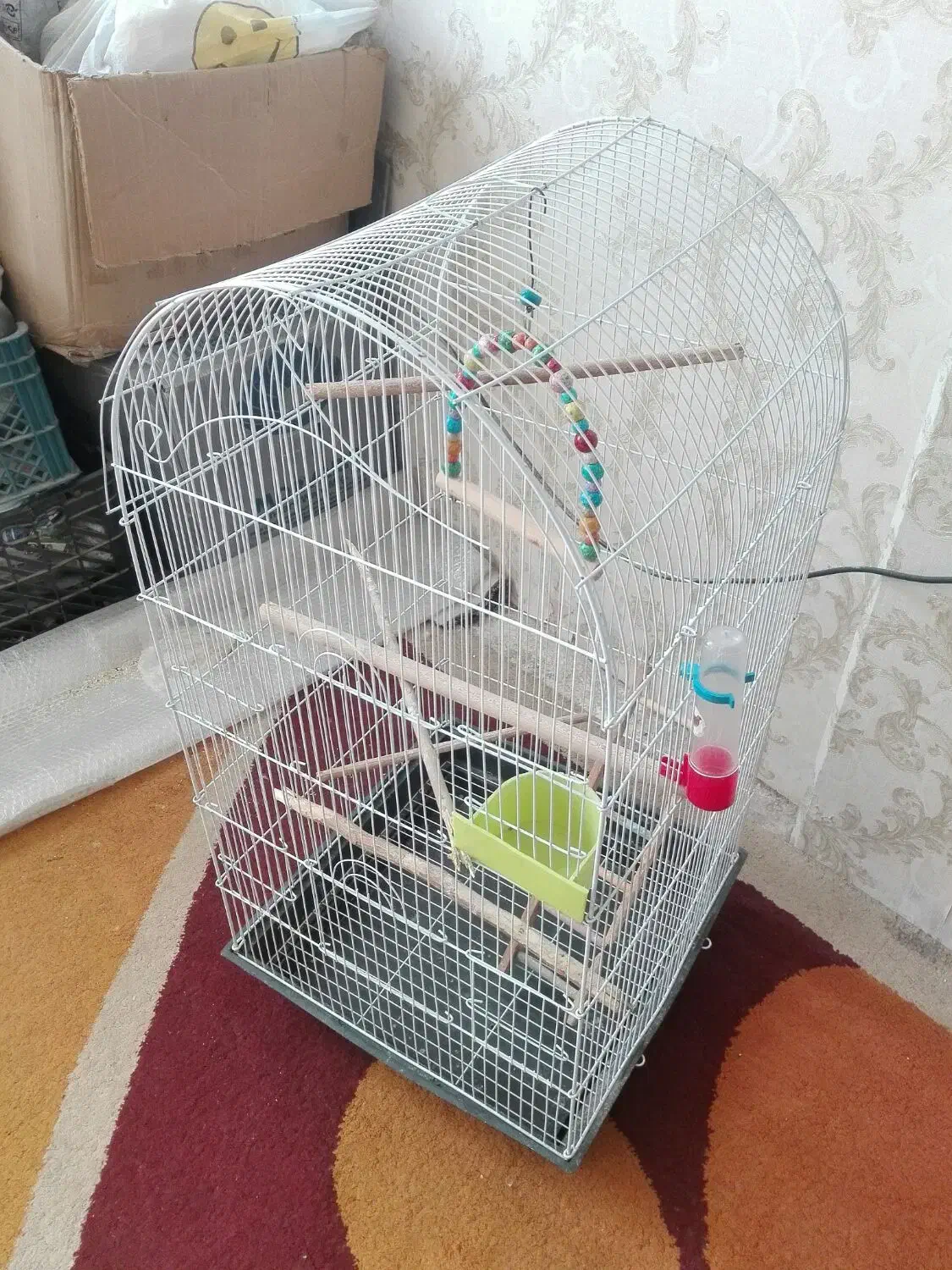 قفس زینتی بزرگ باتمام تجهیزات|لوازم جانبی حیوانات|فولادشهر, A2|دیوار