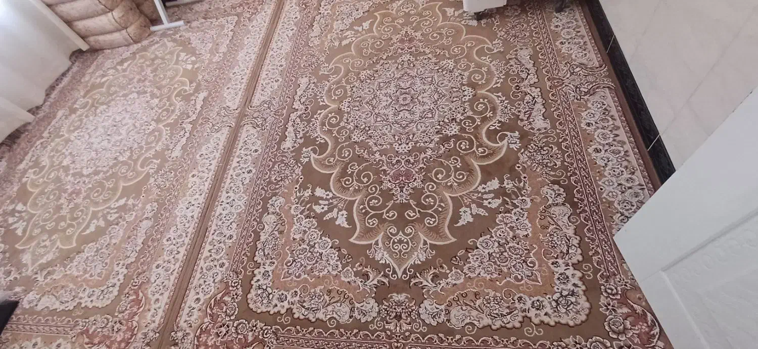 قالی ۵۰۰شانه|فرش|جوانرود, |دیوار
