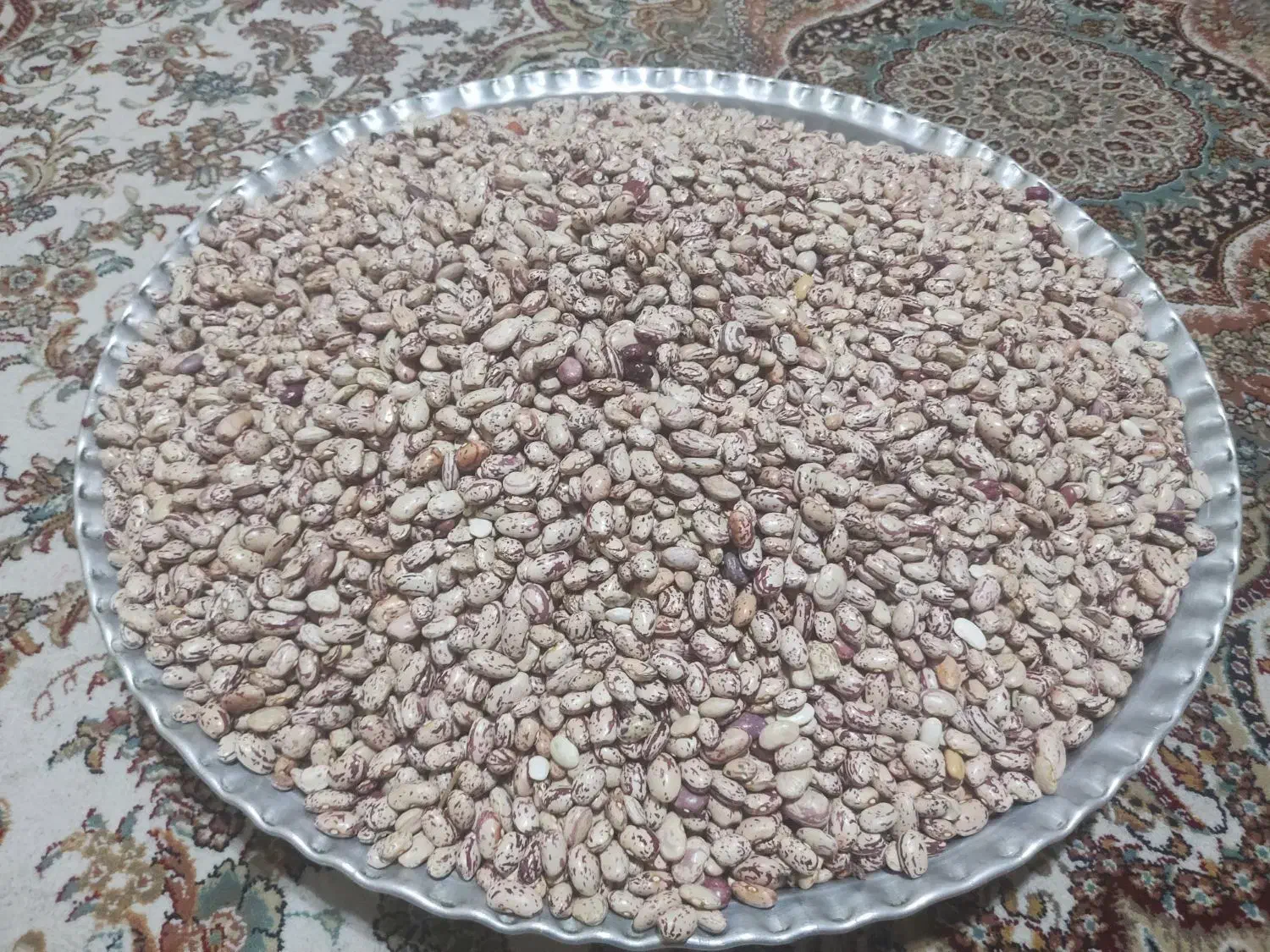 لوبیا چیتی|خوردنی و آشامیدنی|تهران, بلورسازی|دیوار