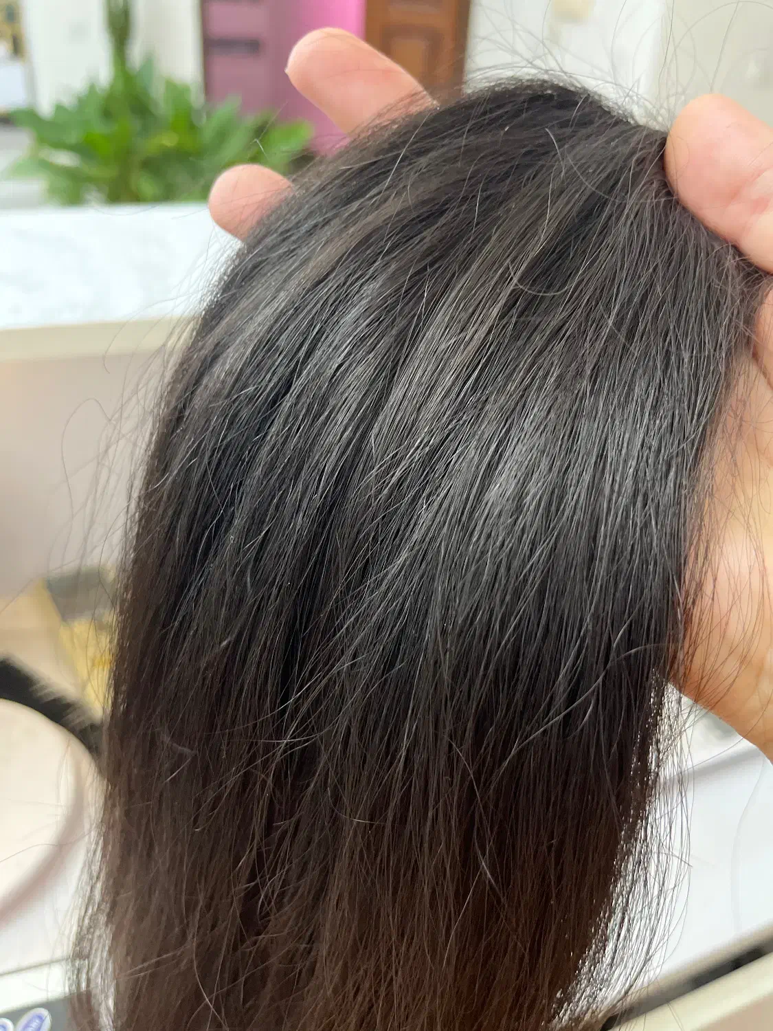 خرید موی طبیعی شما با بالاترین قیمت|خدمات آرایشگری و زیبایی|بافت, |دیوار