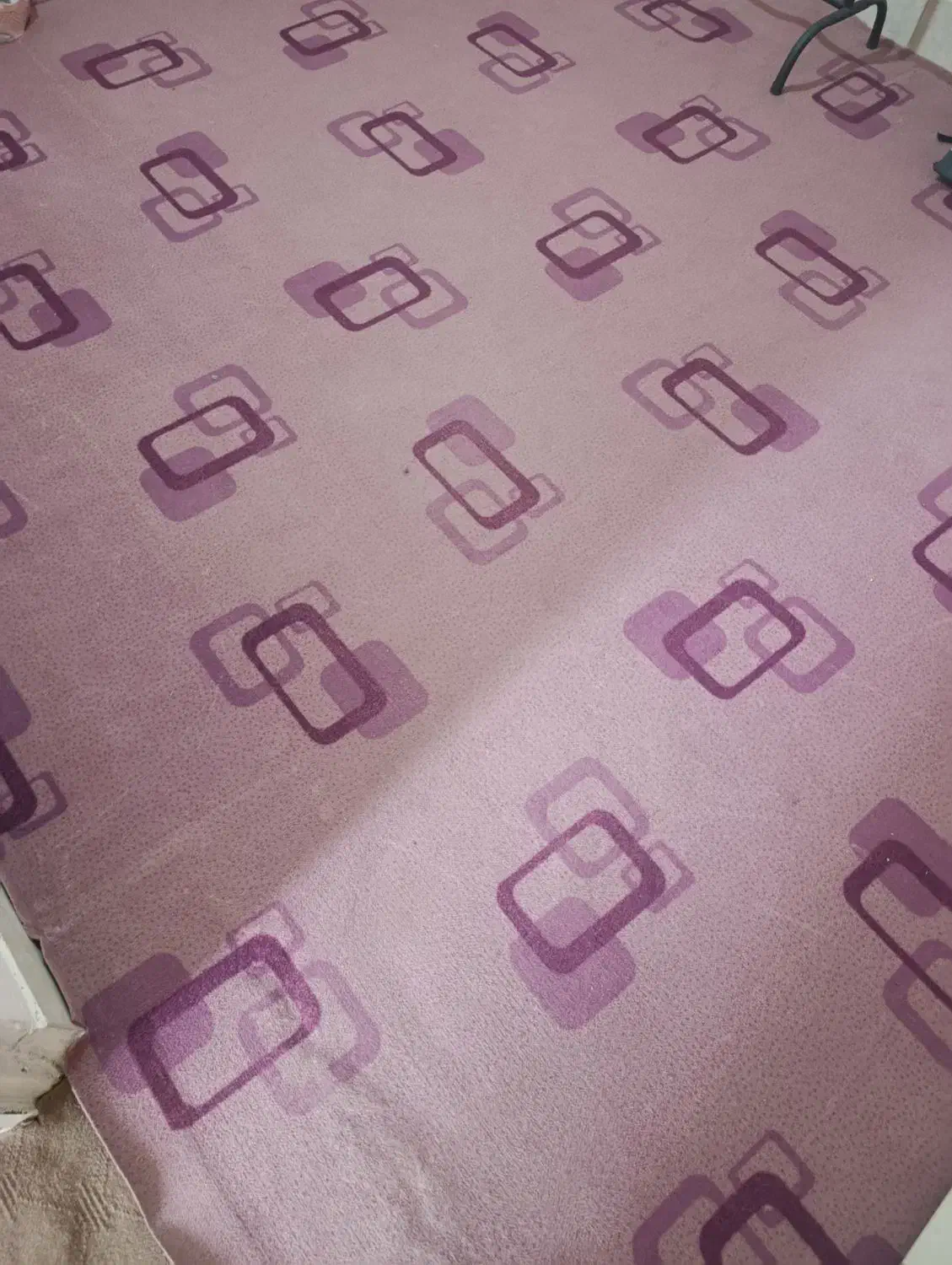 موکت سالم|موکت|ملایر, |دیوار