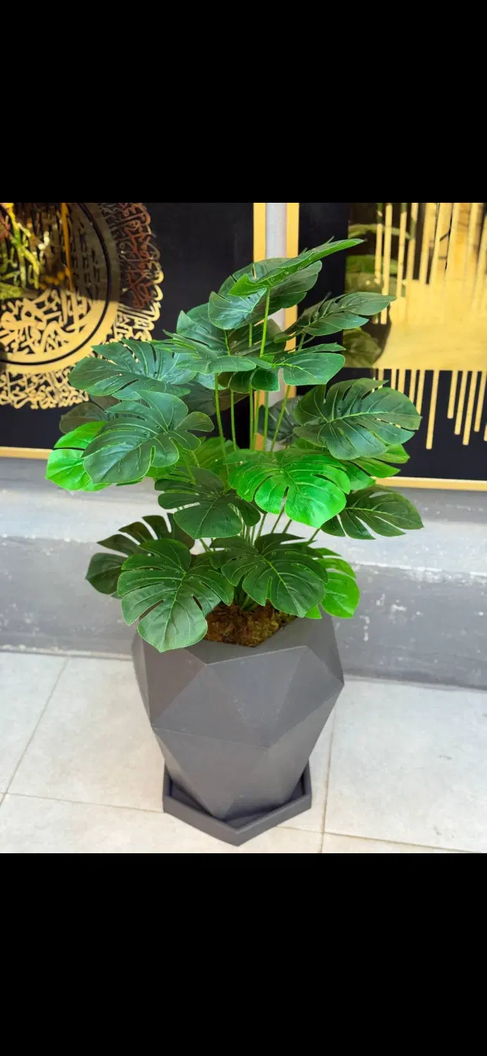 اکسسوری|کلکسیون و سرگرمی|گرگان, |دیوار