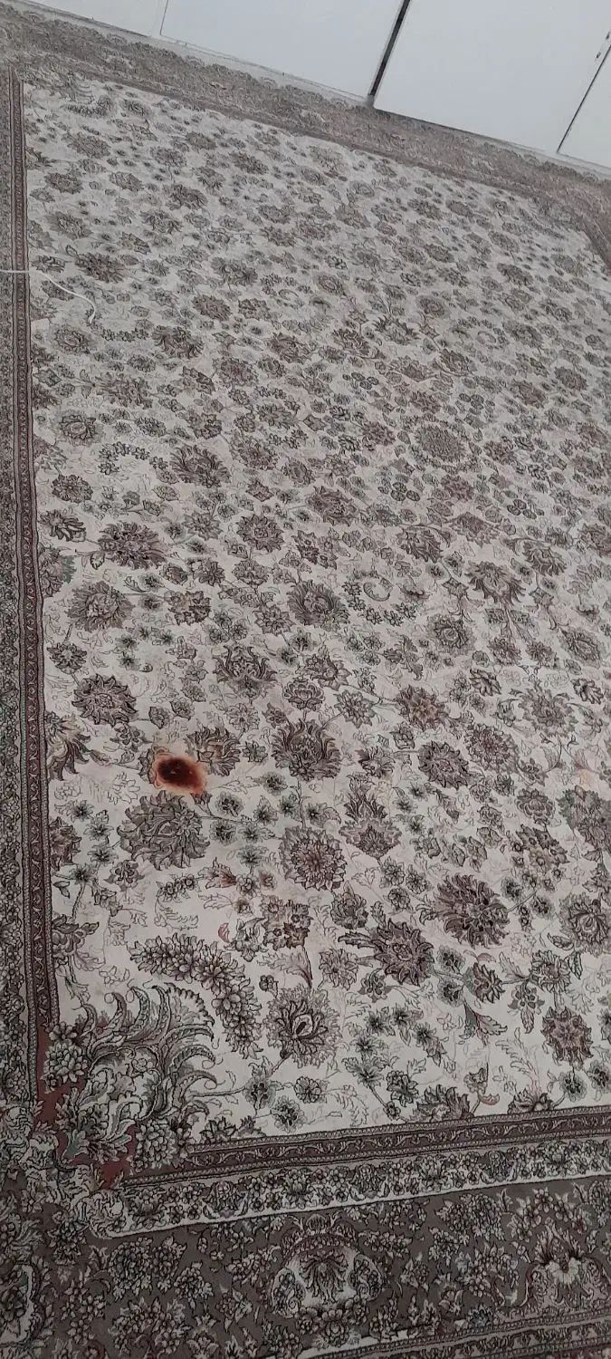 فرش|فرش|تهران, صفا|دیوار