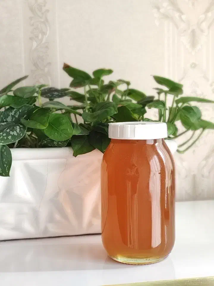 عسل|خوردنی و آشامیدنی|بردسکن, |دیوار