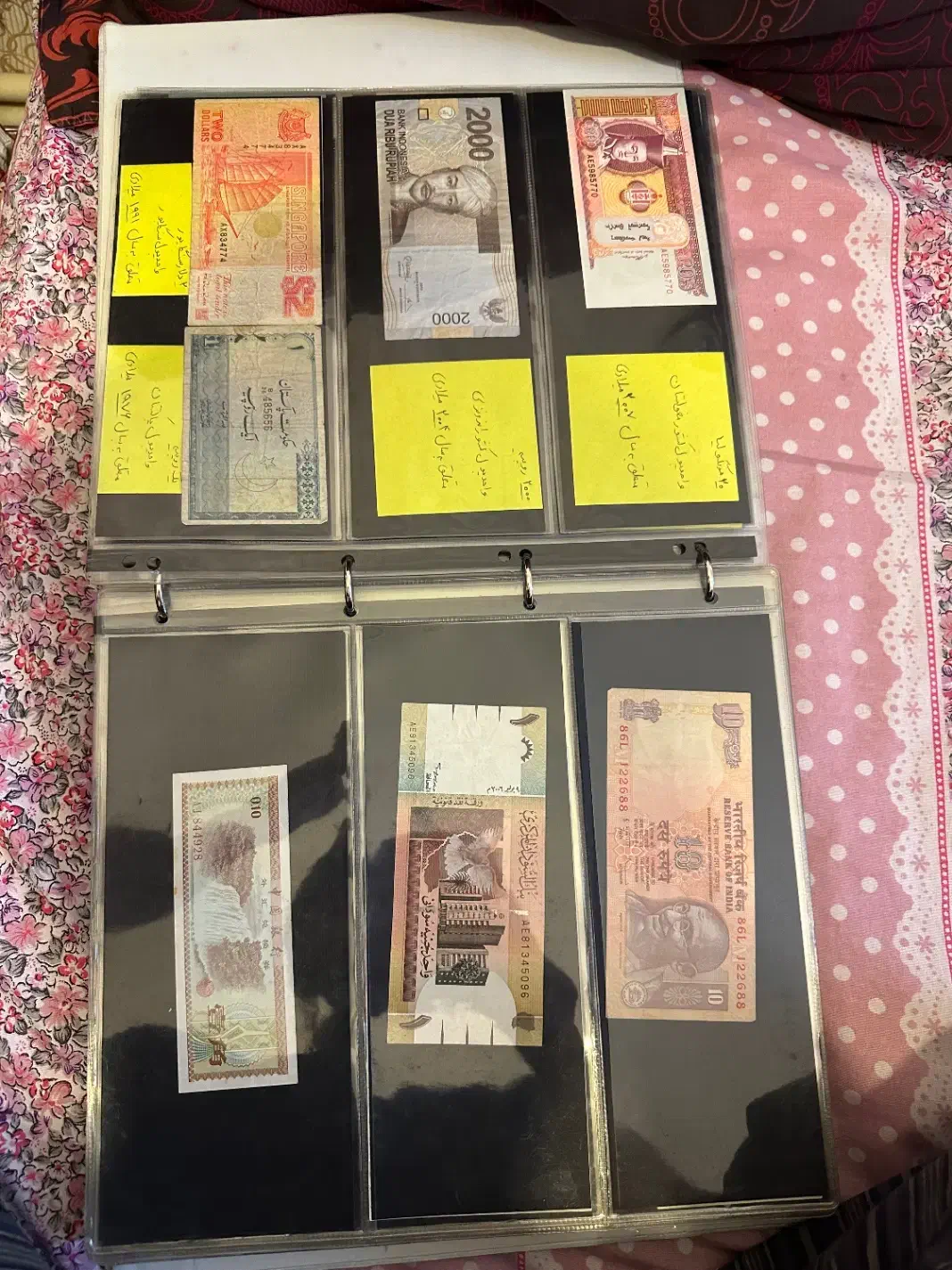 آلبوم اسکناس قدیمی|کلکسیون سکه، تمبر، اسکناس|تبریز, |دیوار