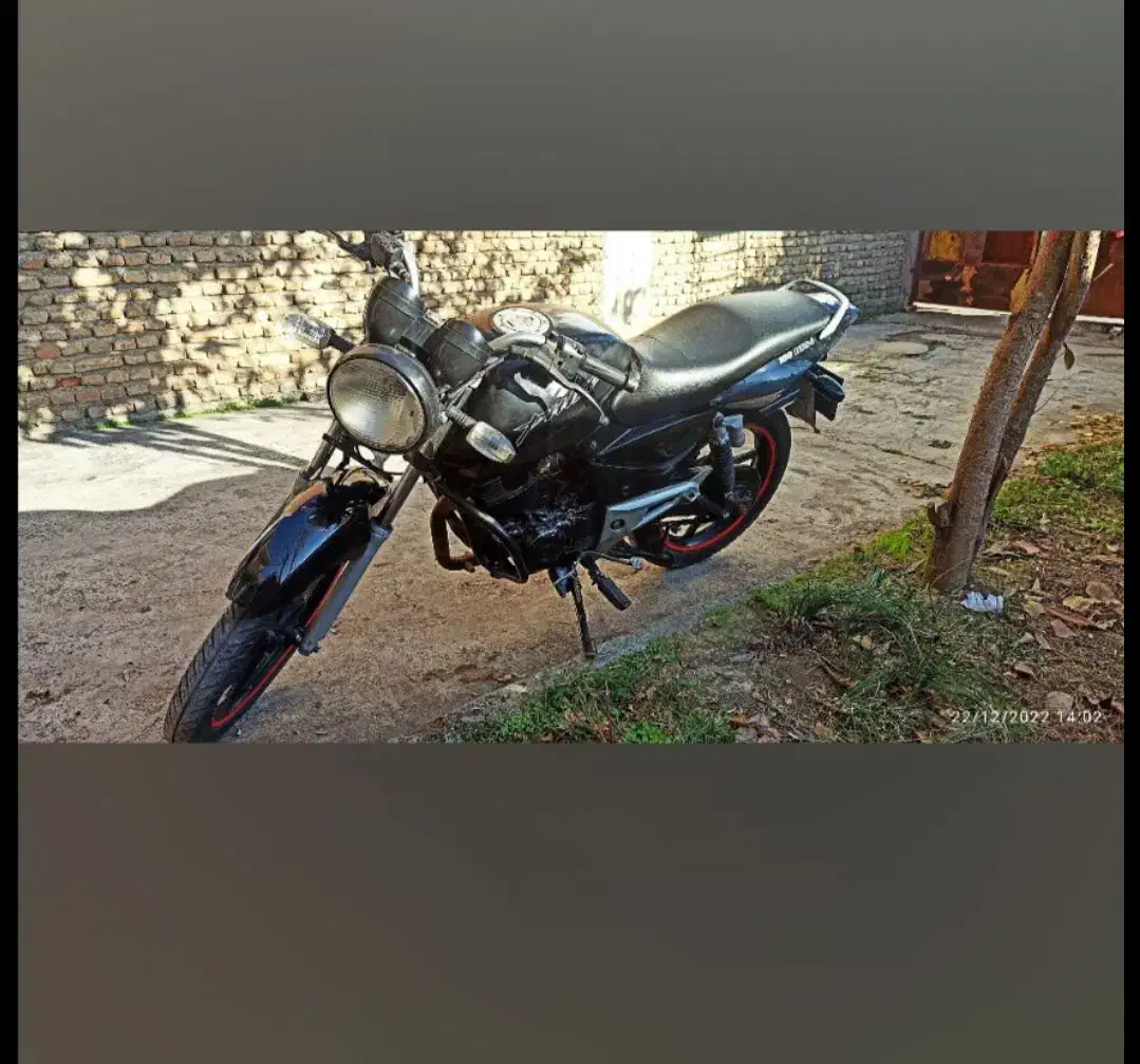 پالس 180|پرنده|مینودشت, |دیوار