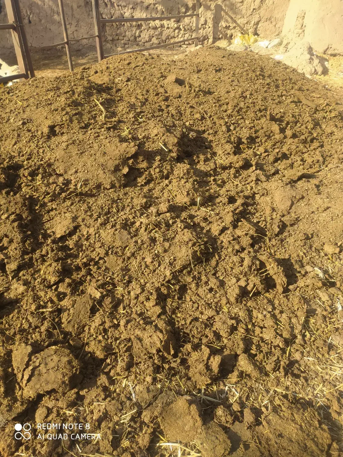 کود گاوی. انبار گاو|گل و گیاه طبیعی|نصر آباد, |دیوار