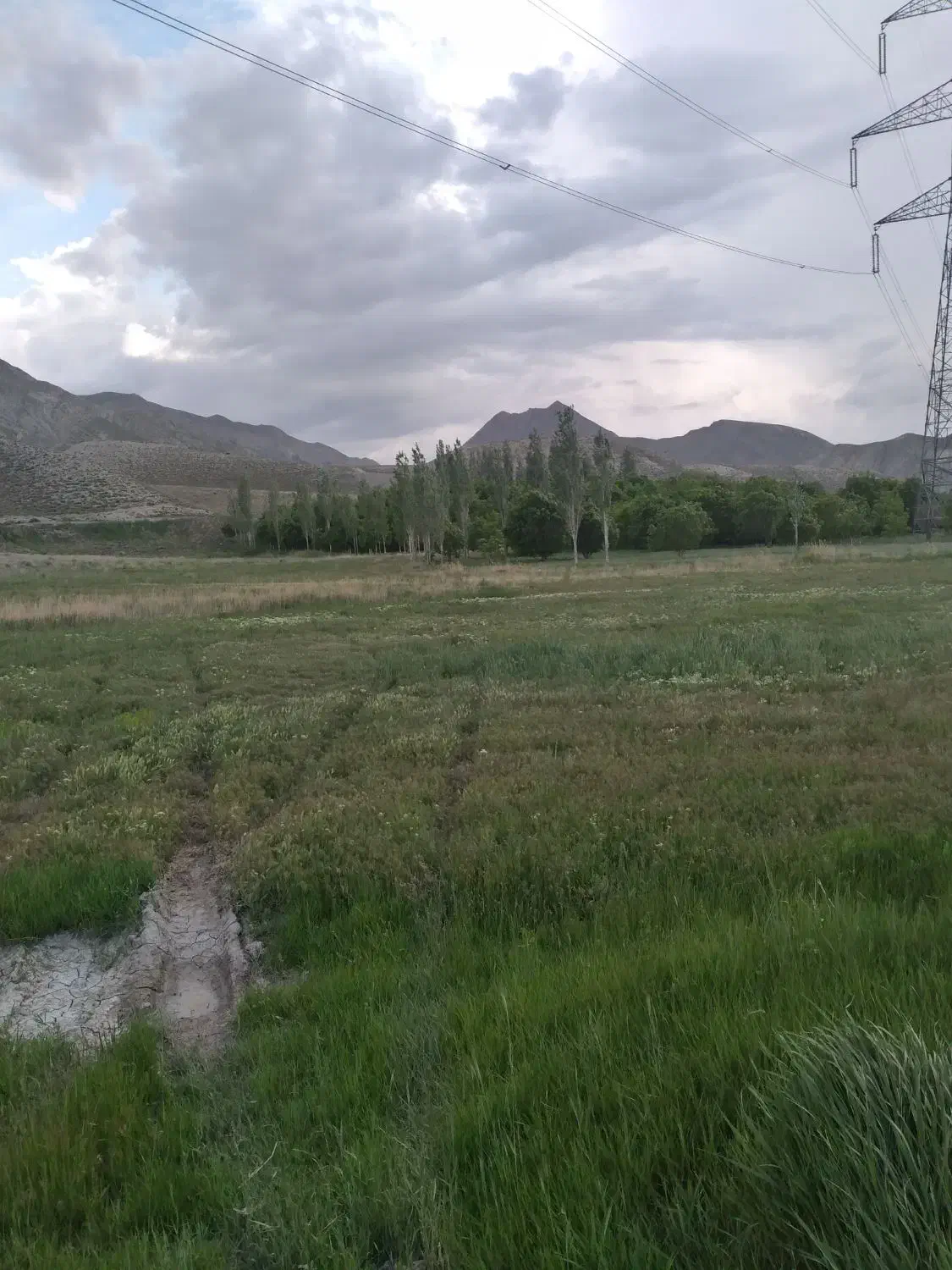 فروش زمین|فروش دفتر صنعتی، کشاورزی، تجاری|فیروزکوه, |دیوار