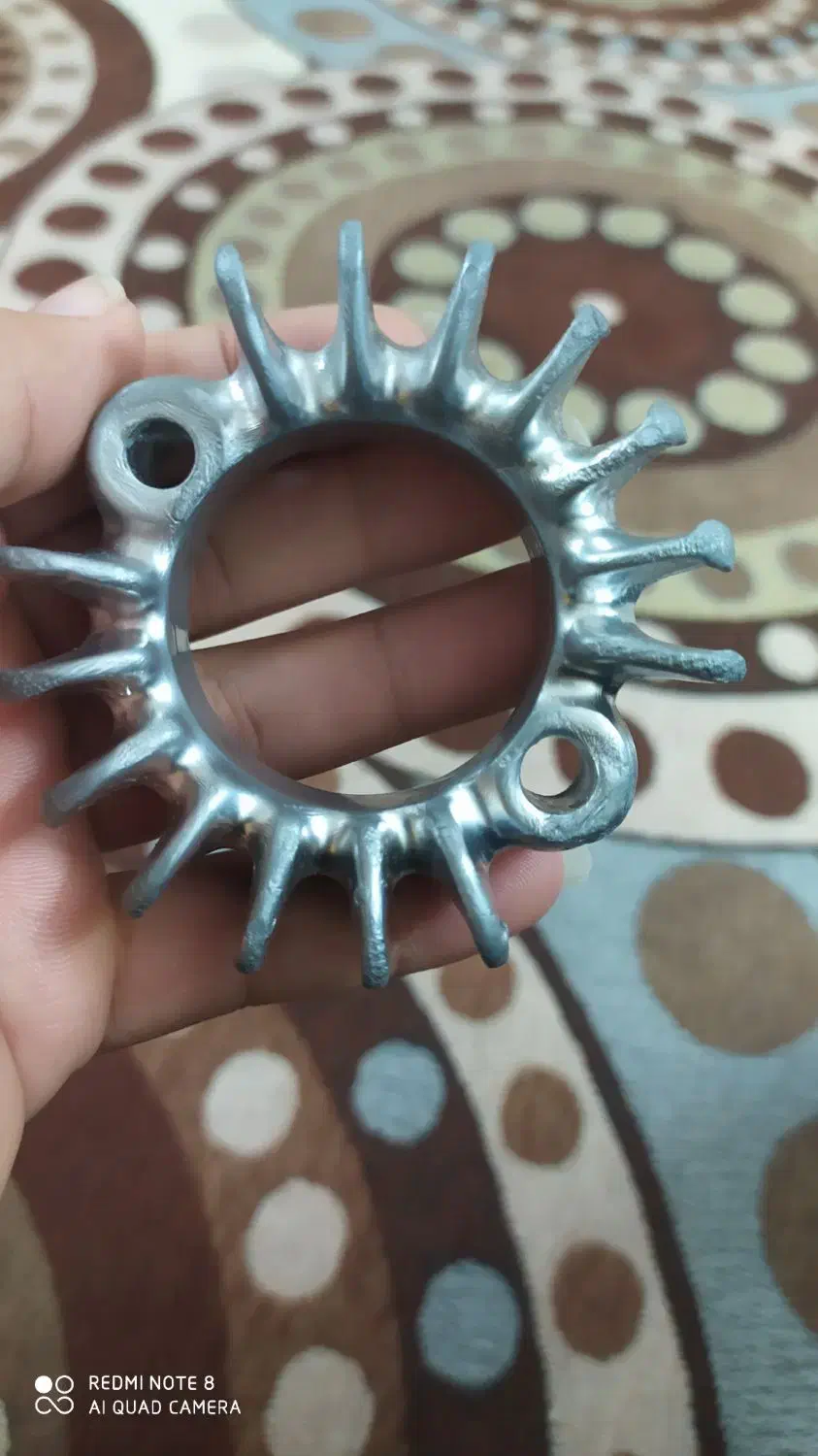 ۵ پنپیر|حیوانات|برازجان, |دیوار