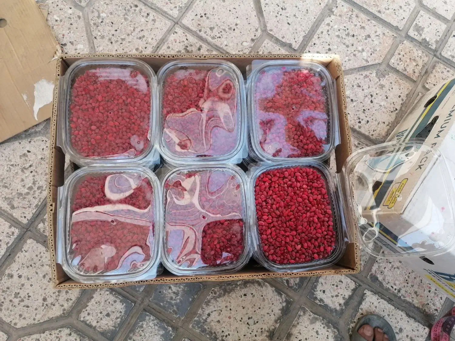 زرشک تازه دانه شده و آب زرشک تازه خالص و طبیعی|خوردنی و آشامیدنی|مشهد, ابوذر|دیوار