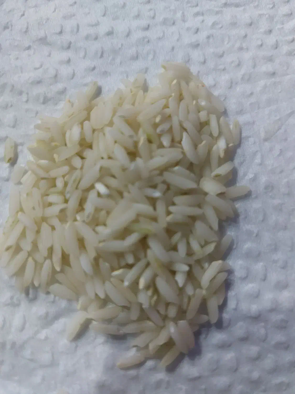 برنج ایرانی برنج دورود|خوردنی و آشامیدنی|اسلامشهر, شهرک سعیدیه|دیوار