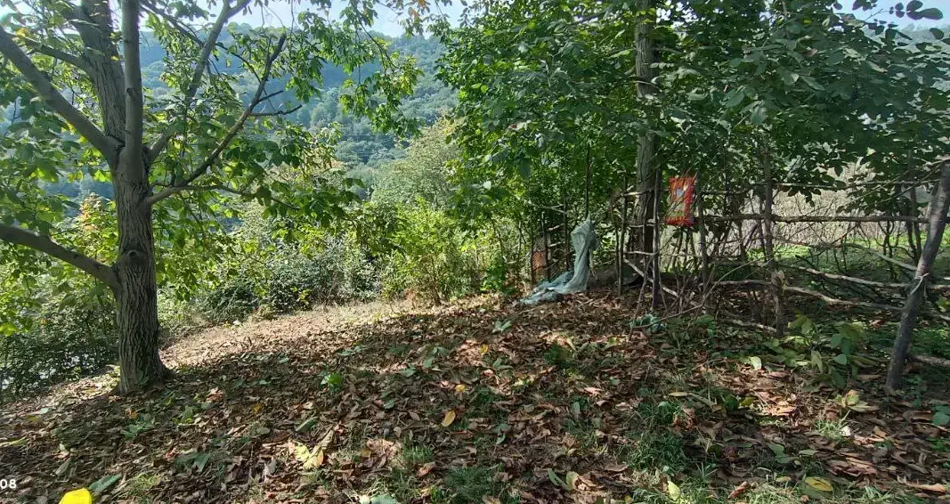 فروش فوری زمین در گیلان|فعالیت داوطلبانه|تهران, دانشگاه شریف|دیوار