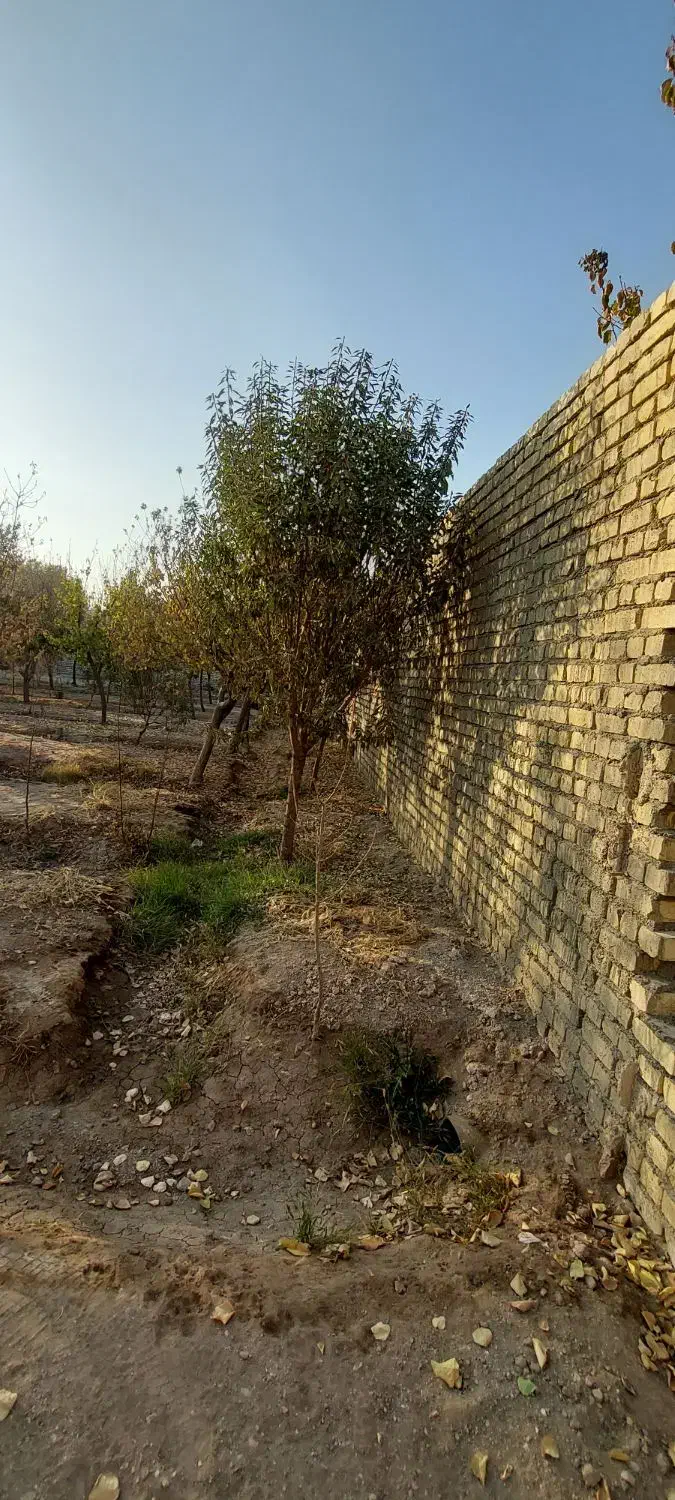 فروش باغ ۲۴۰۰ متر دیوارکشی شده در قهجاورستان|فروش خانه و ویلا|اصفهان, قهجاورستان|دیوار