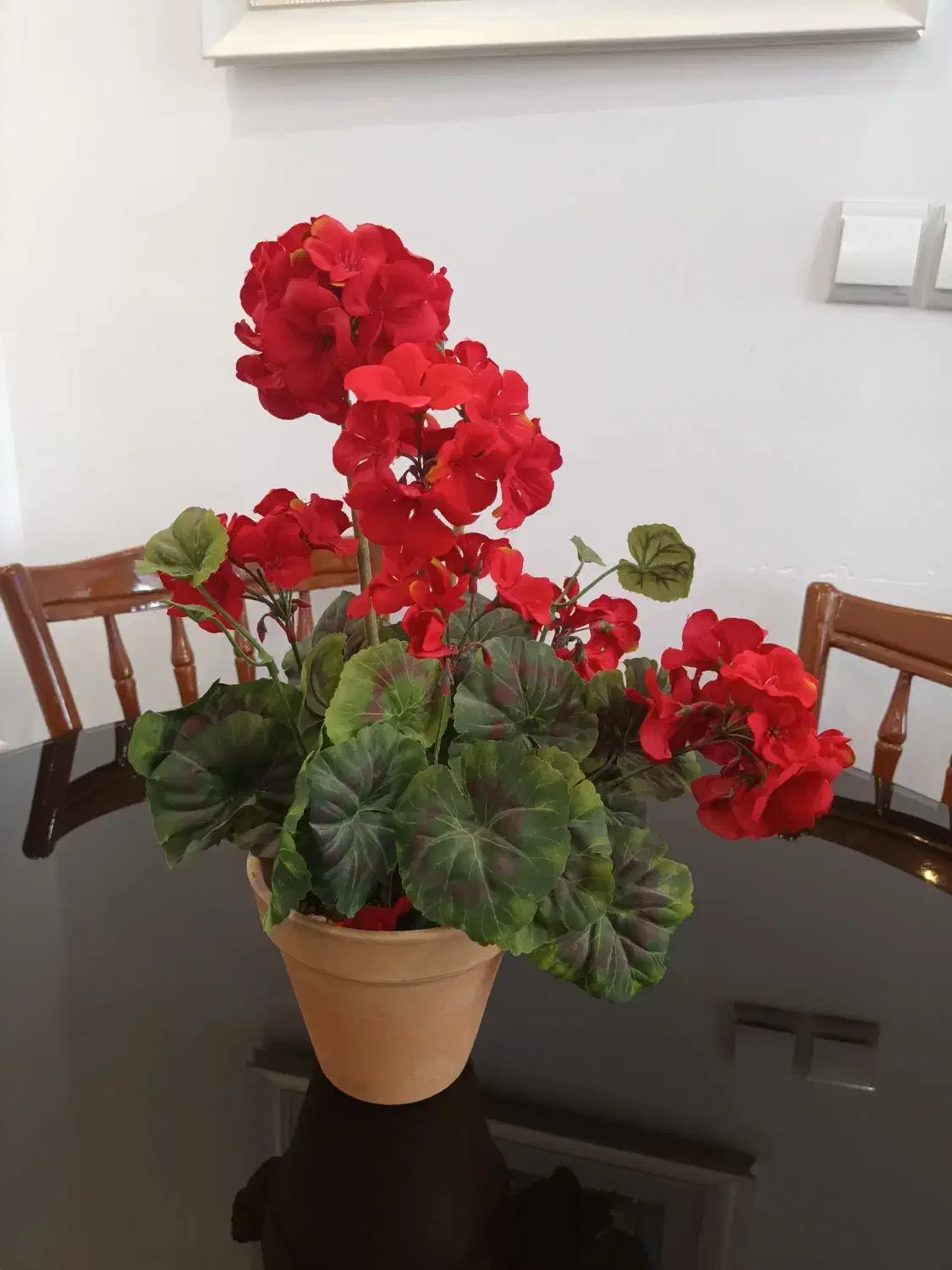 گل مصنوعی|گل مصنوعی|خمینیشهر, |دیوار