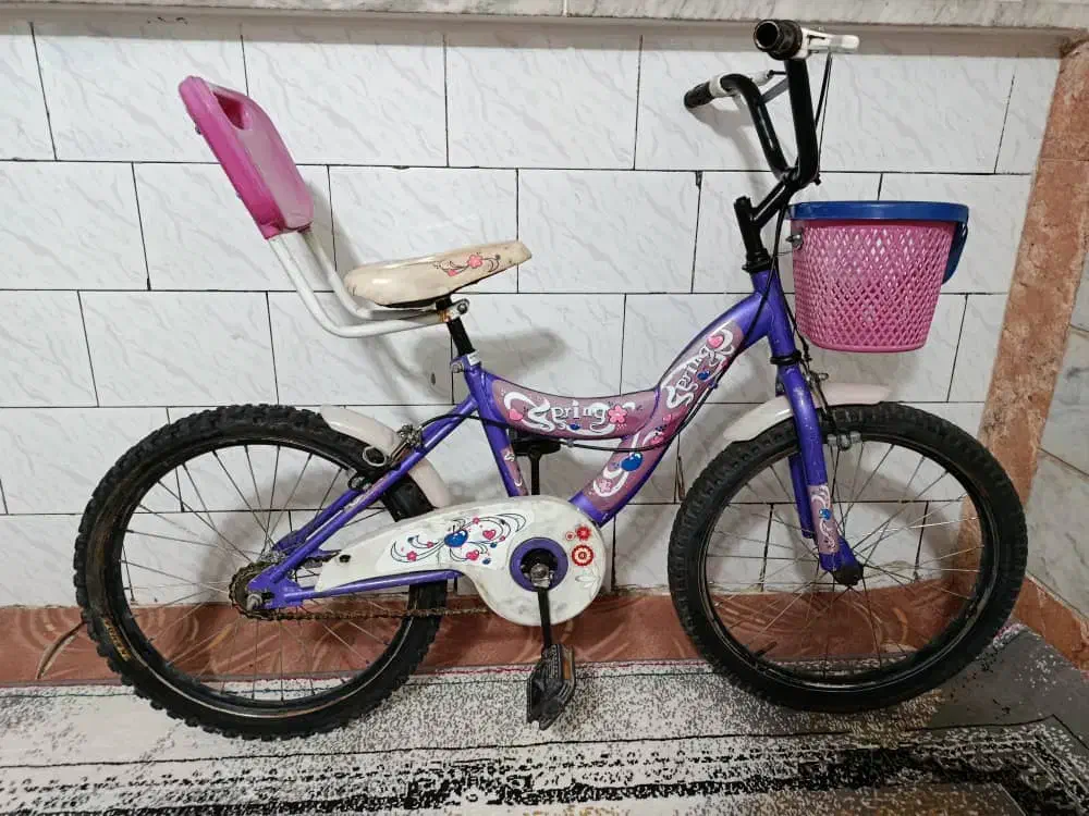 دوچرخه دخترانه سایز۲۰.تمیز|دوچرخه، اسکیت، اسکوتر|ملارد, |دیوار