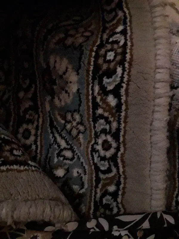 فروش|فرش|اصفهان, امیرعرب|دیوار