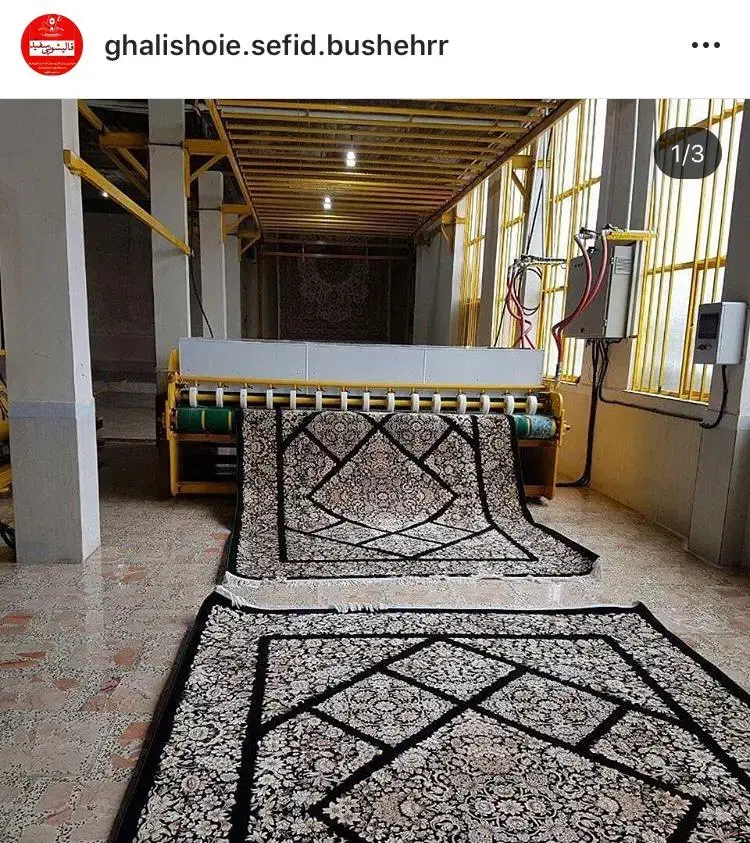 قالیشویی و مبل شویی سفید|خدمات نظافت|بوشهر, |دیوار