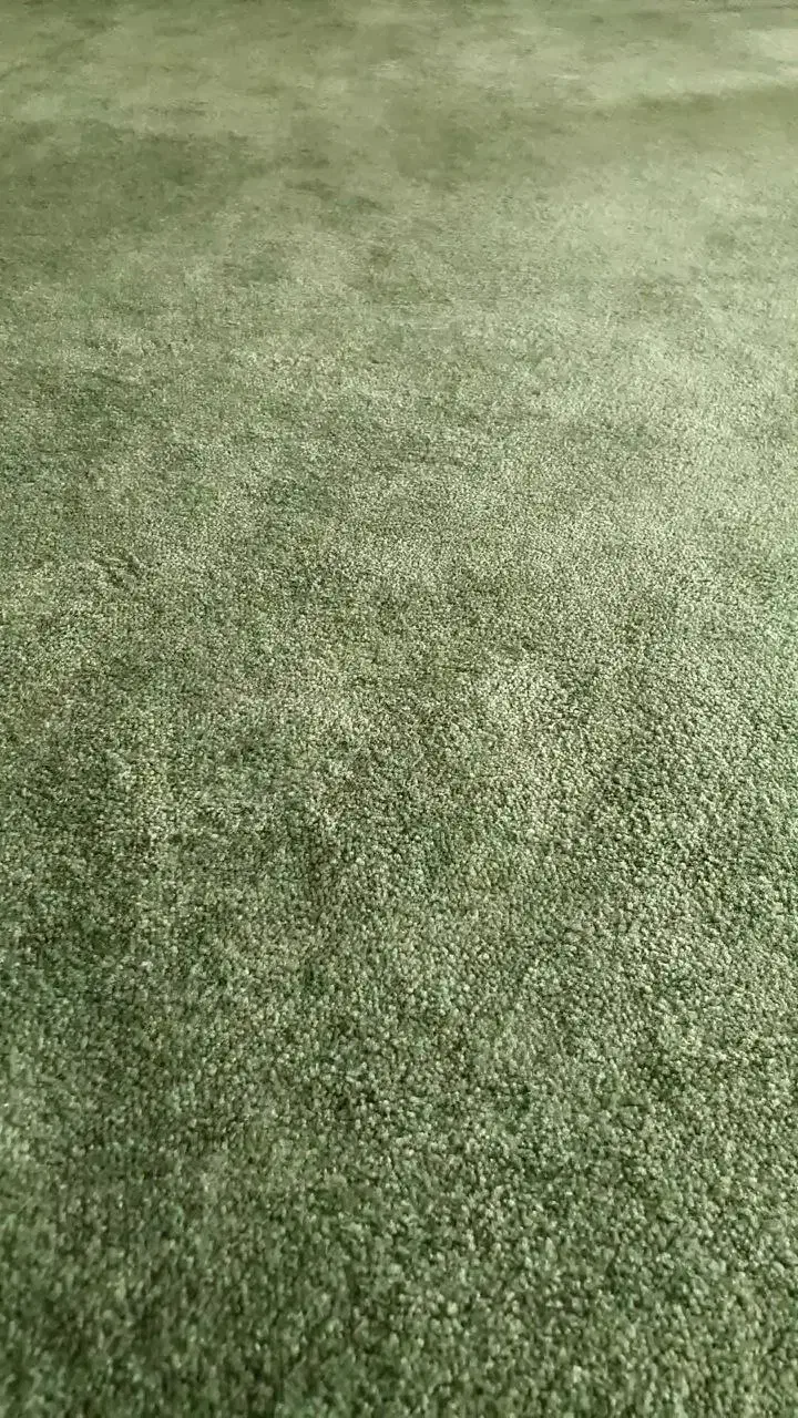 موکت نگین مشهد|موکت|مشهد, دانشجو|دیوار