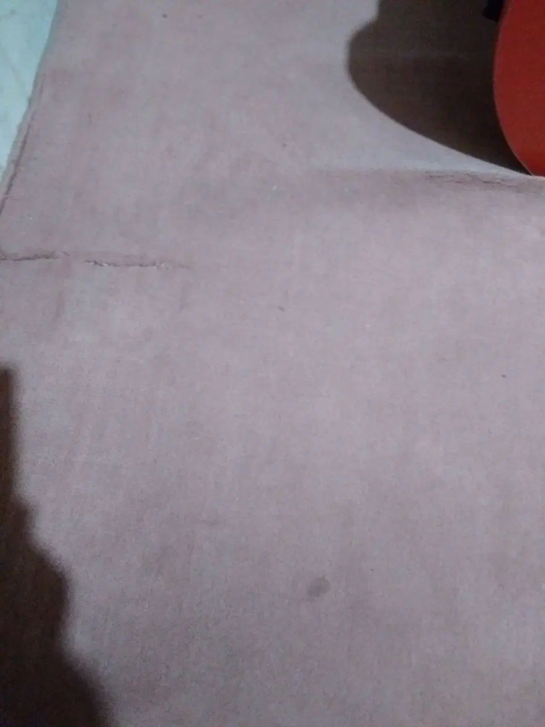 پلاژ موکت|موکت|گنبد کاووس, |دیوار