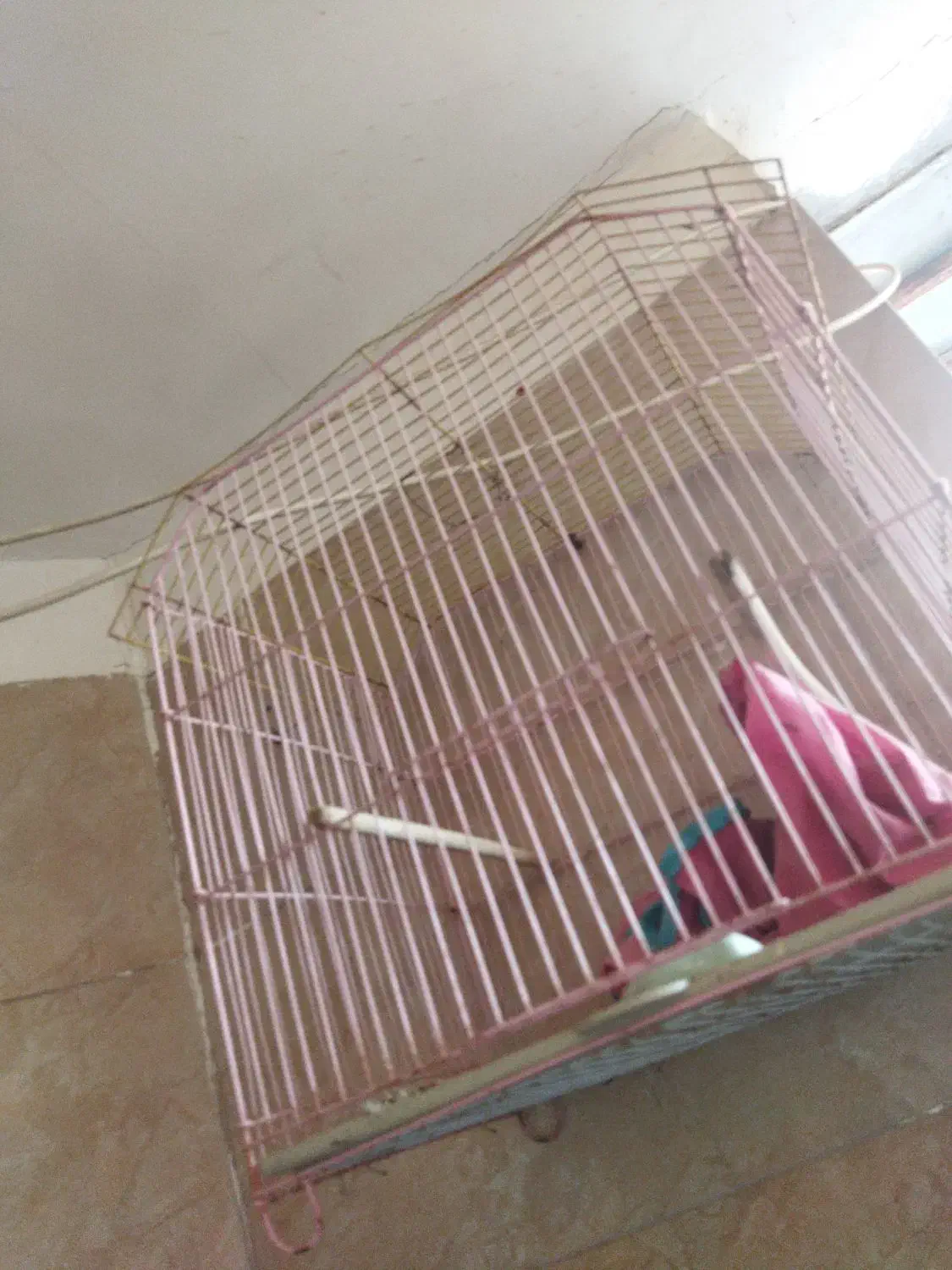 قفس|لوازم جانبی حیوانات|بندر ماهشهر, |دیوار