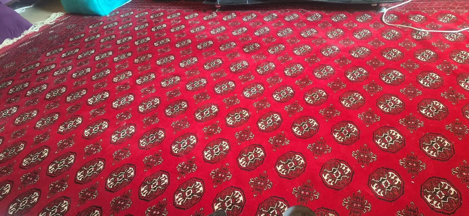 فرش ۹ متری دستبافت|فرش|کرج, باغستان|دیوار