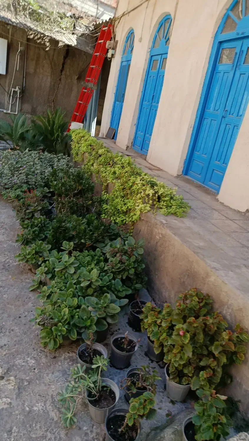 کاه گل خونه باغ سنتی سفال گردانی|خدمات پیشه و مهارت|کردکوی, |دیوار