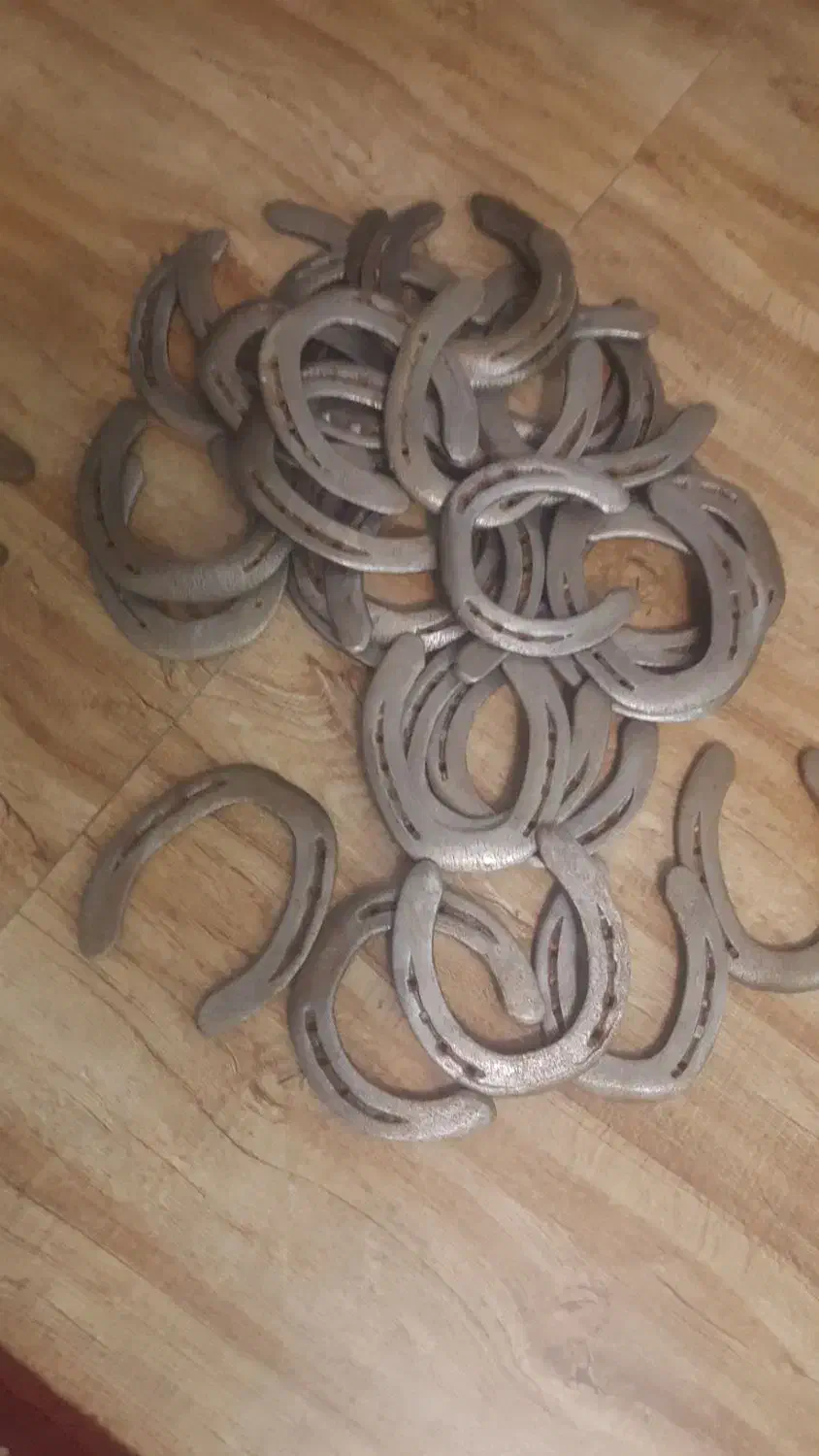 نعل اسب|اسب و تجهیزات اسب‌سواری|فردیس, سرحد آباد|دیوار