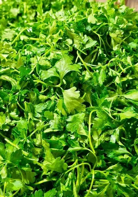 محصولات خانگی عمه لیلا|خوردنی و آشامیدنی|محمدشهر, ولدآباد|دیوار