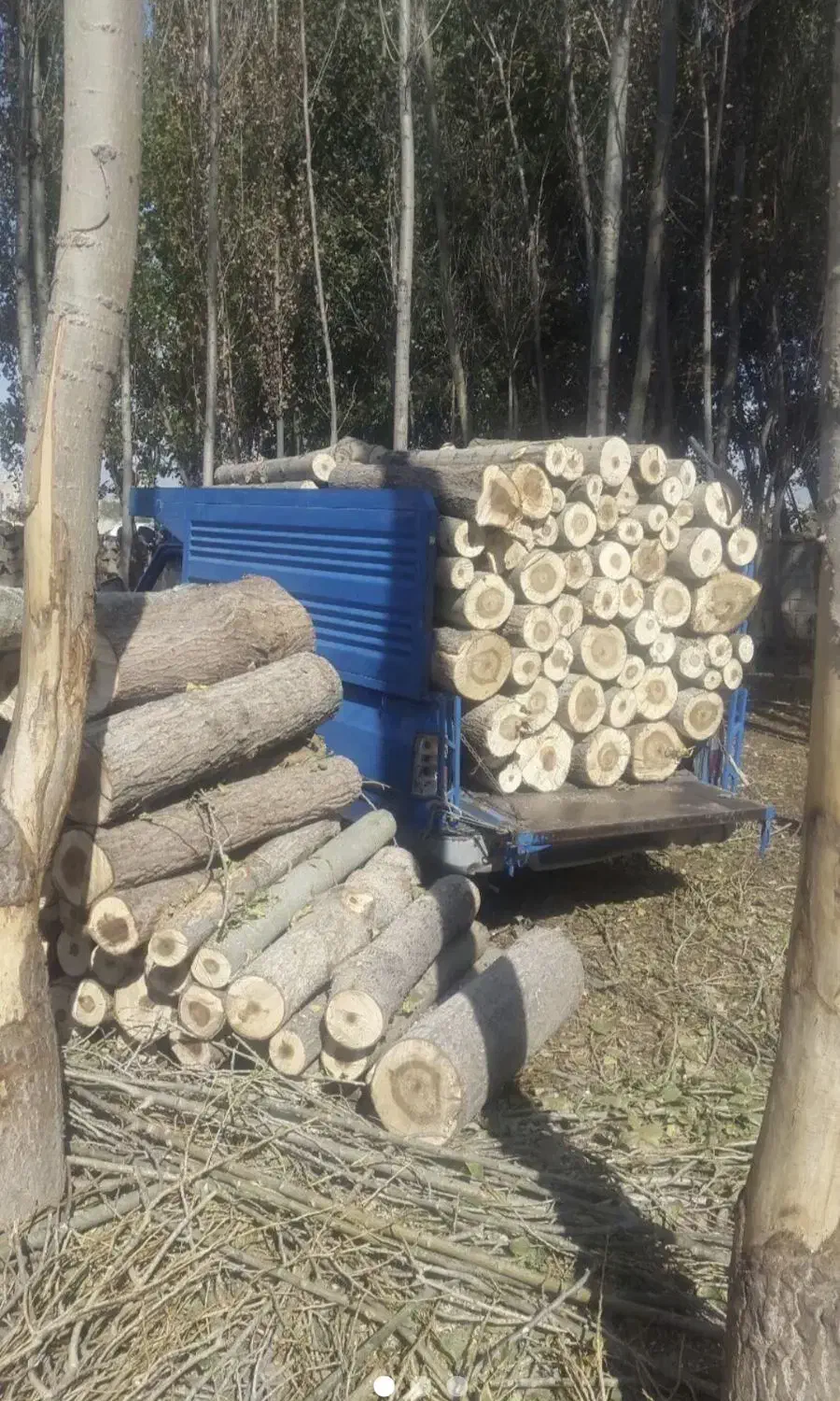 خرید چوب بصورت نقدی|خدمات باغبانی و درختکاری|مشگین شهر, |دیوار