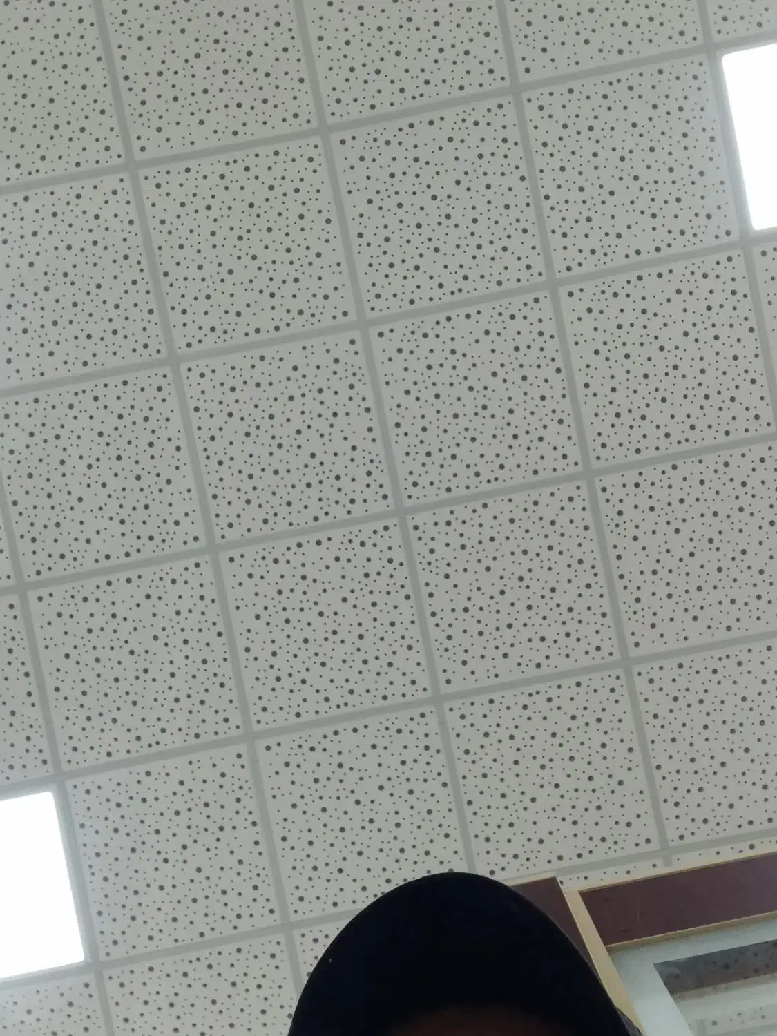 پانل(pvc)آرمسترانگ وسقف کاذب|خدمات پیشه و مهارت|اردبیل, |دیوار