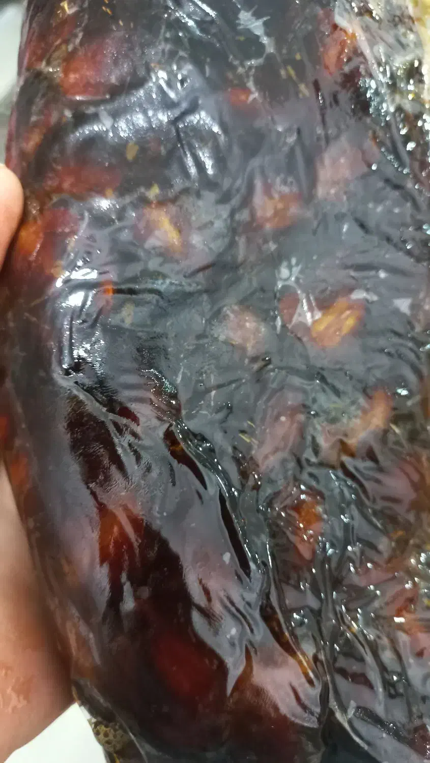 خرما بریحی درجه یک|خوردنی و آشامیدنی|برازجان, |دیوار