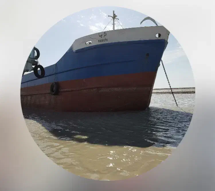 بازرگانی مرادپور ترخیص و حمل و نقل|خدمات حمل و نقل|تهران, آرژانتین|دیوار